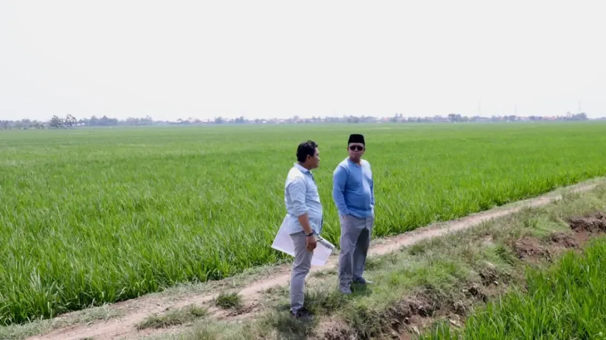 Menteri ATR/BPN Pastikan Kawasan Industri Indramayu Tidak Masuk Lahan Sawah Dilindungi