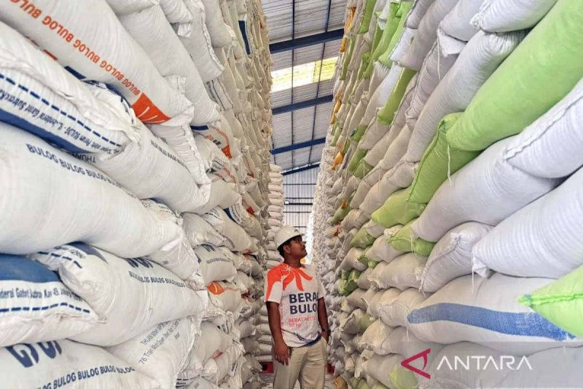 Bulog: Stok Cadangan Pangan Aman di Tengah Gejolak Timur Tengah dan Ancaman El Nino Ekstrem