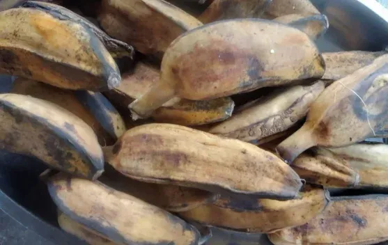 Pisang Rebus Tetap Diminati, Alternatif Camilan Sehat dengan Gizi yang Terjaga