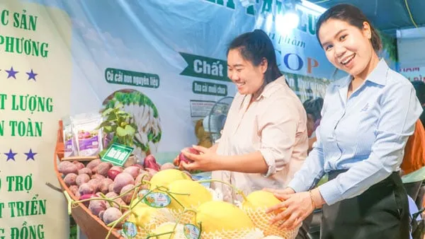 Pameran Promosi Perdagangan di Vinh Long Dorong Jejaring Bisnis dan Pemasaran Produk Lokal