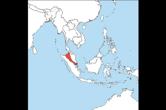 Selat Malaka Kembali Disorot: Jalur Vital Perdagangan Dunia di Tengah Ketegangan Selat Hormuz