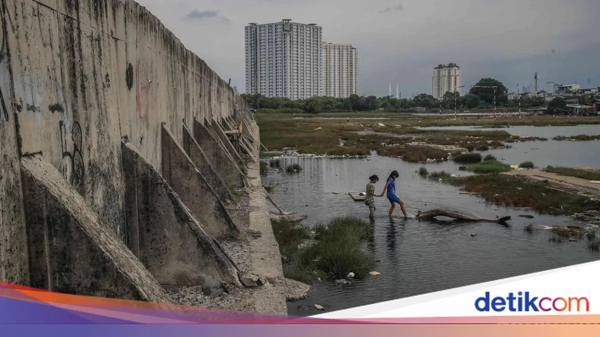 Wamen ATR Mengungkap Kondisi Lahan untuk Proyek Tanggul Laut Raksasa