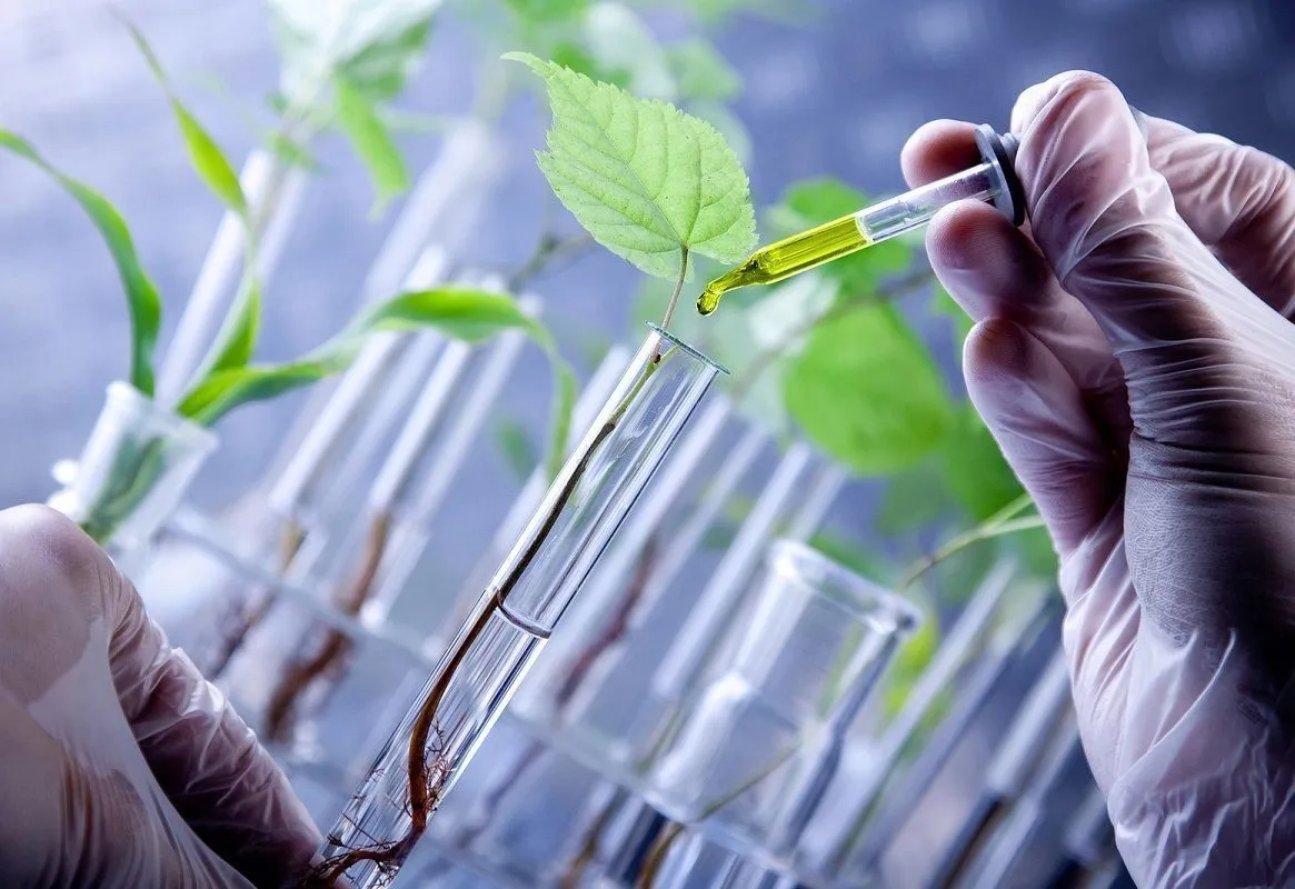 Bioteknologi dan Sumber Daya Lokal: Upaya Mengolah Limbah Pertanian hingga Inovasi Kesehatan di Hue
