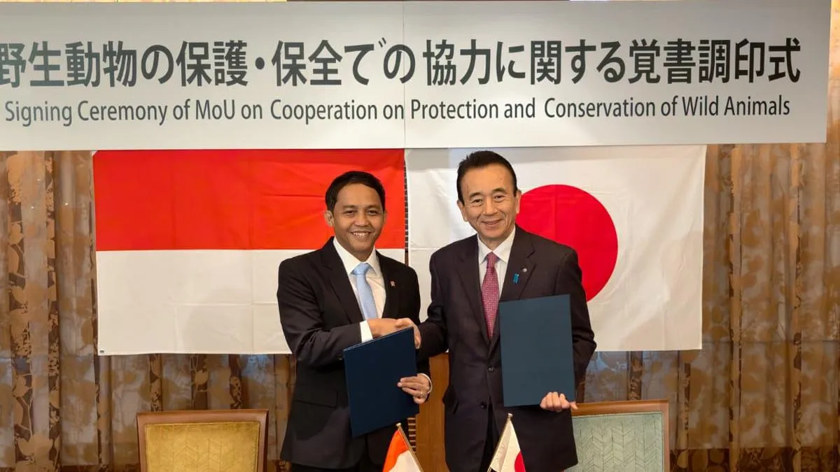 Indonesia–Jepang Perkuat Konservasi lewat Program Breeding Loan Komodo