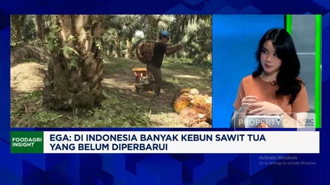 Prabowo Pastikan Mandatori B50 Berlaku 2026, Didukung Pengembangan Bioetanol