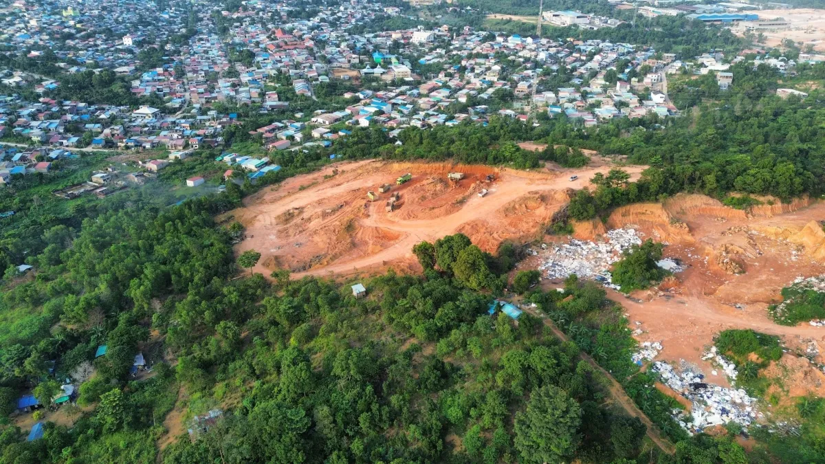 Deforestasi Batam Meningkat, Kehilangan Tutupan Pohon 32 Ribu Hektar Sejak 2001