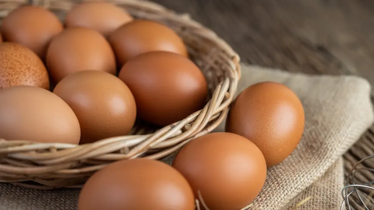 Menu Telur di Program Makan Sekolah India Diganti Vegetarian Usai ISKCON Ditunjuk Kelola Penyediaan