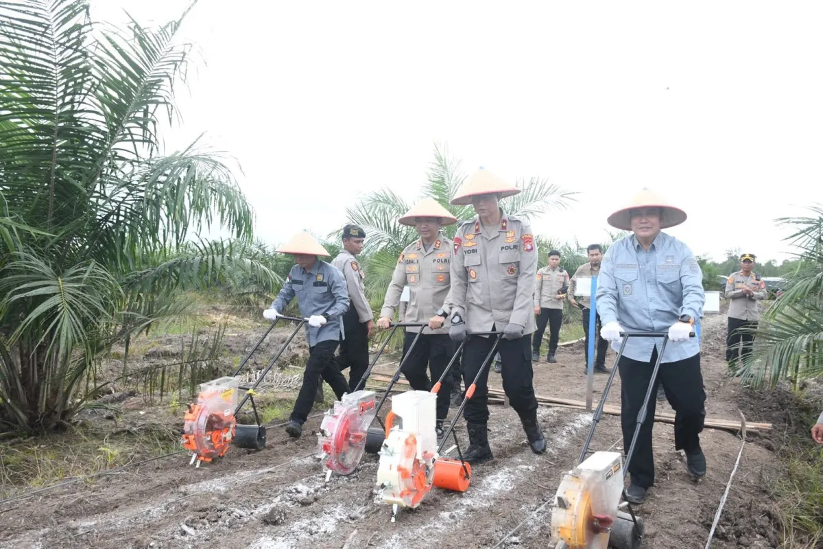 Polres Pulang Pisau Dampingi Tanam Raya Jagung Kuartal I 2026 di Lahan Sawit PT MKM