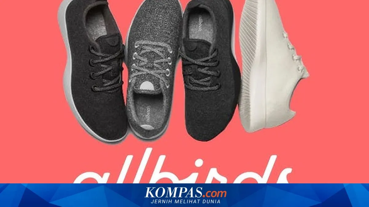 Allbirds Beralih ke Bisnis AI, Saham Melonjak Usai Rencana Jadi Newbird AI