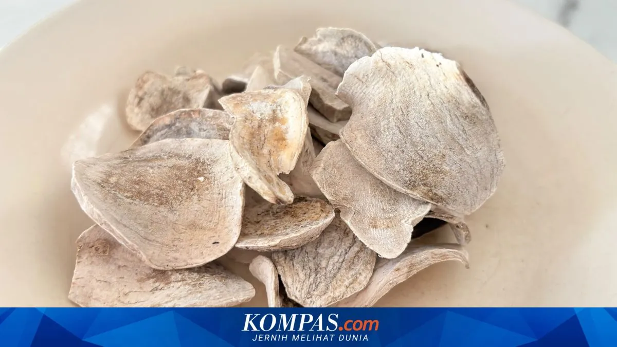 Koil, Ubi Kering Manggarai yang Mendadak Dicari: Jejak Ingatan, Ketahanan Pangan, dan Martabat Rasa Lokal
