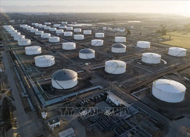 G7 Dukung Pelepasan Cadangan Minyak, Gangguan Hormuz dan Qatar Tekan Pasar Energi Global