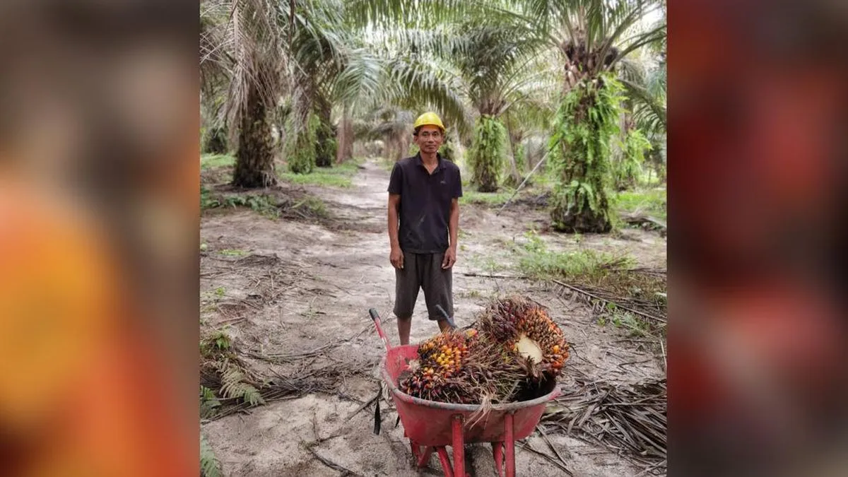 Kementan: Hilirisasi CPO Dinilai Bisa Tekan Impor Solar dan Perkuat Ekonomi