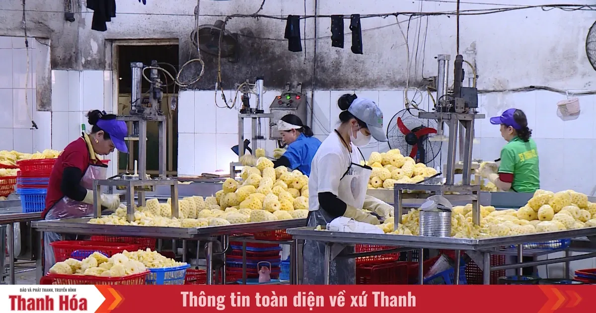 Konflik Timur Tengah Picu Kekhawatiran Dunia Usaha di Thanh Hoa: Biaya Logistik Naik, Rantai Pasok Tertekan