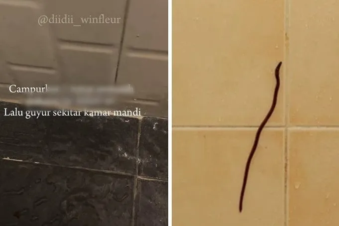 Kamar Mandi Lembap Rentan Jadi Sarang Cacing Kecil, Garam Disebut Bisa Jadi Alternatif Selain Cuka