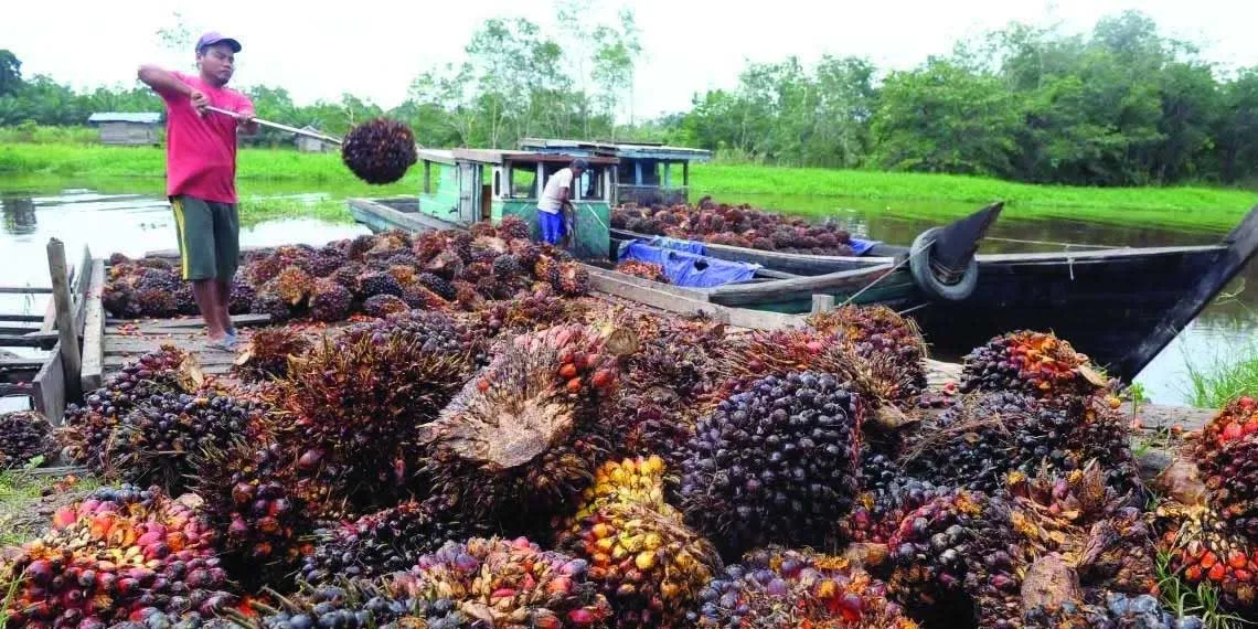 BPDP Membuka Program Grant Riset 2026 Berprinsip BAIK untuk Mendorong Inovasi Perkebunan