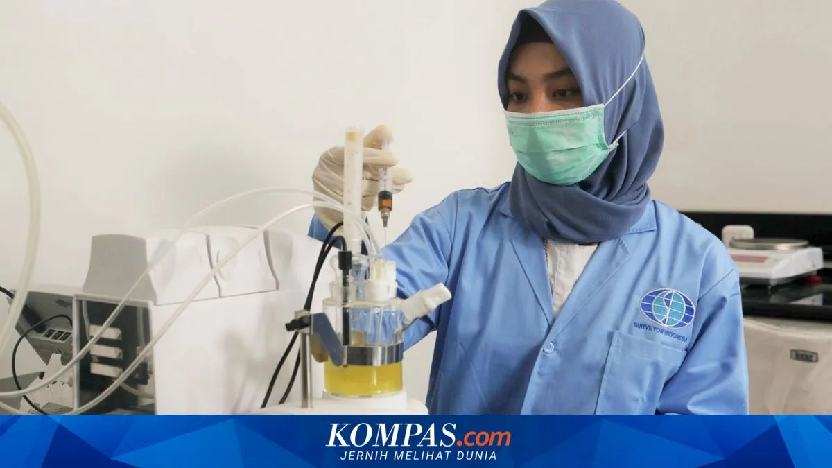 SIR 2026: UIN Ar-Raniry Peringkat Pertama Kampus Riset Terbaik di Indonesia, UI dan UGM Menyusul