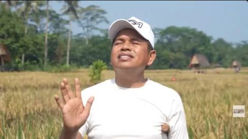 Dedi Mulyadi Dorong Kebiasaan Hidup Produktif Sejak Kecil, Soroti Aktivitas Anak Mencari Kayu Bakar