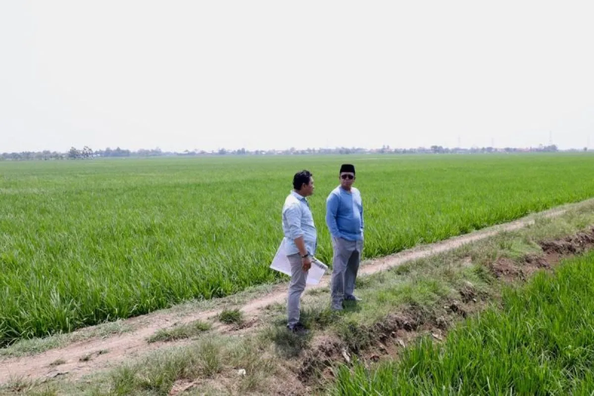 Menteri ATR/BPN Tinjau Rencana Kawasan Industri di Indramayu, Pastikan Lahan Tak Masuk KP2B