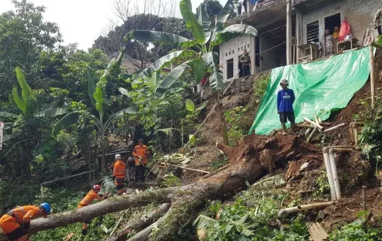 Gubernur Jawa Barat Akan Audit Tata Ruang Bogor, Soroti Dampak Alih Fungsi Lahan terhadap Jakarta