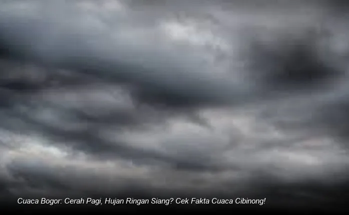Prakiraan Cuaca Cibinong Hari Ini: Cerah Pagi, Berawan Menjelang Siang, Hujan Ringan Sore
