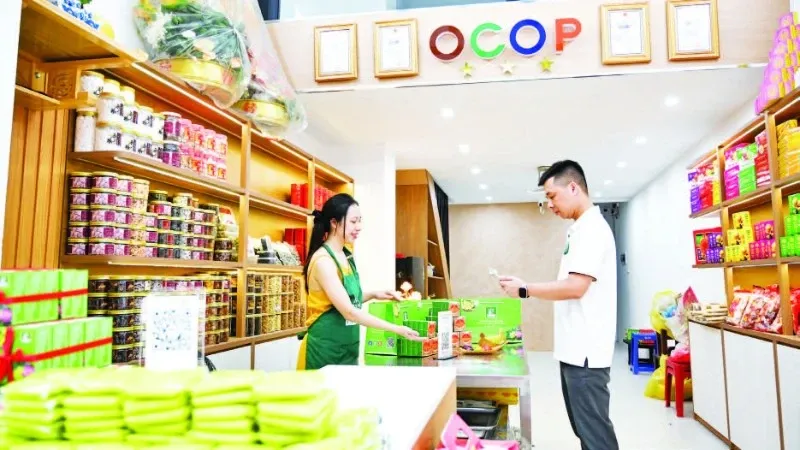 Bank dan Otoritas Pajak Dorong Transparansi Arus Kas Usaha Rumah Tangga Jelang Aturan Baru 2026
