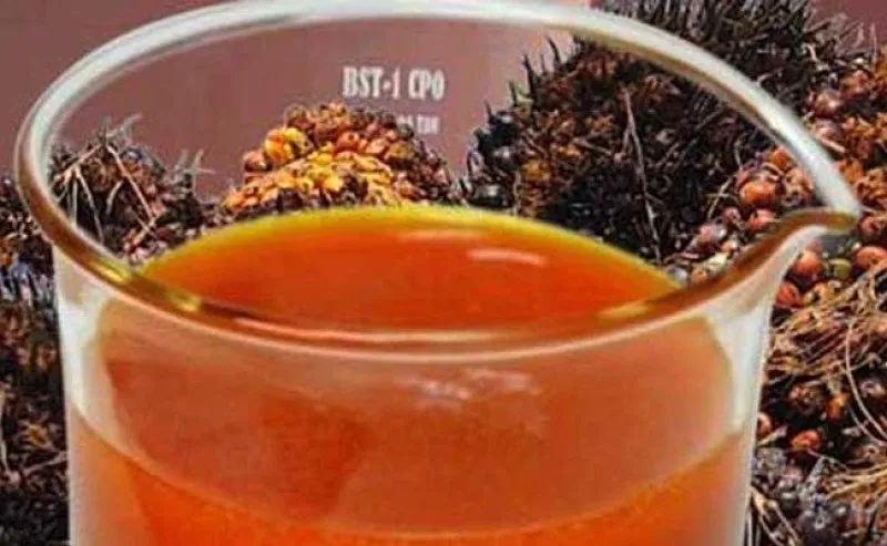 Harga CPO Bursa Malaysia Naik ke RM4.499 per Ton, Terangkat Soyoil dan Lonjakan Ekspor