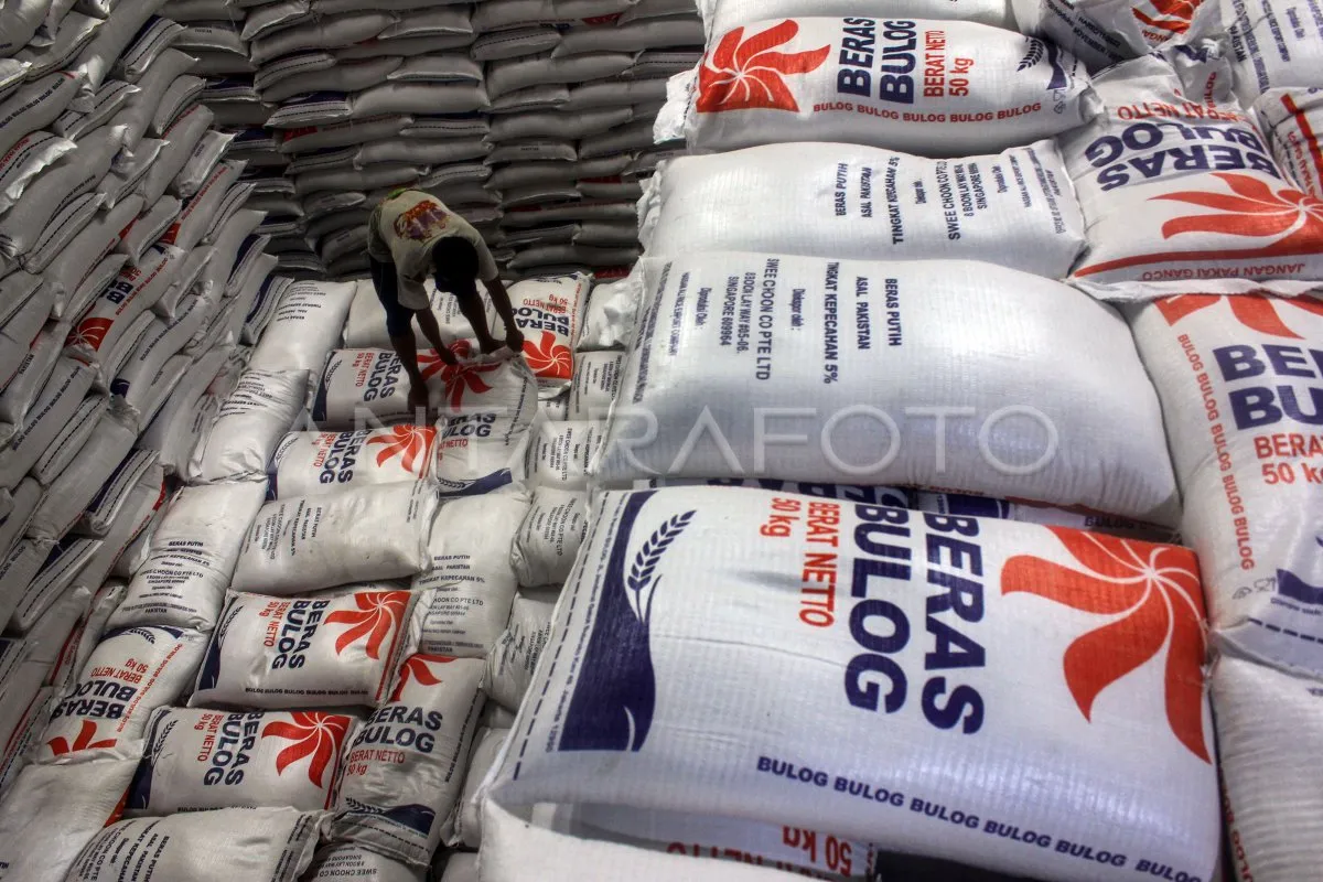 Mentan: Cadangan Beras Pemerintah 4,6 Juta Ton, Klaim Aman Hadapi El Nino dan Ketidakpastian Global