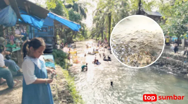 Libur Tahun Baru, Sungai Ikan Larangan Silambau Dipadati Wisatawan di Pasaman Barat