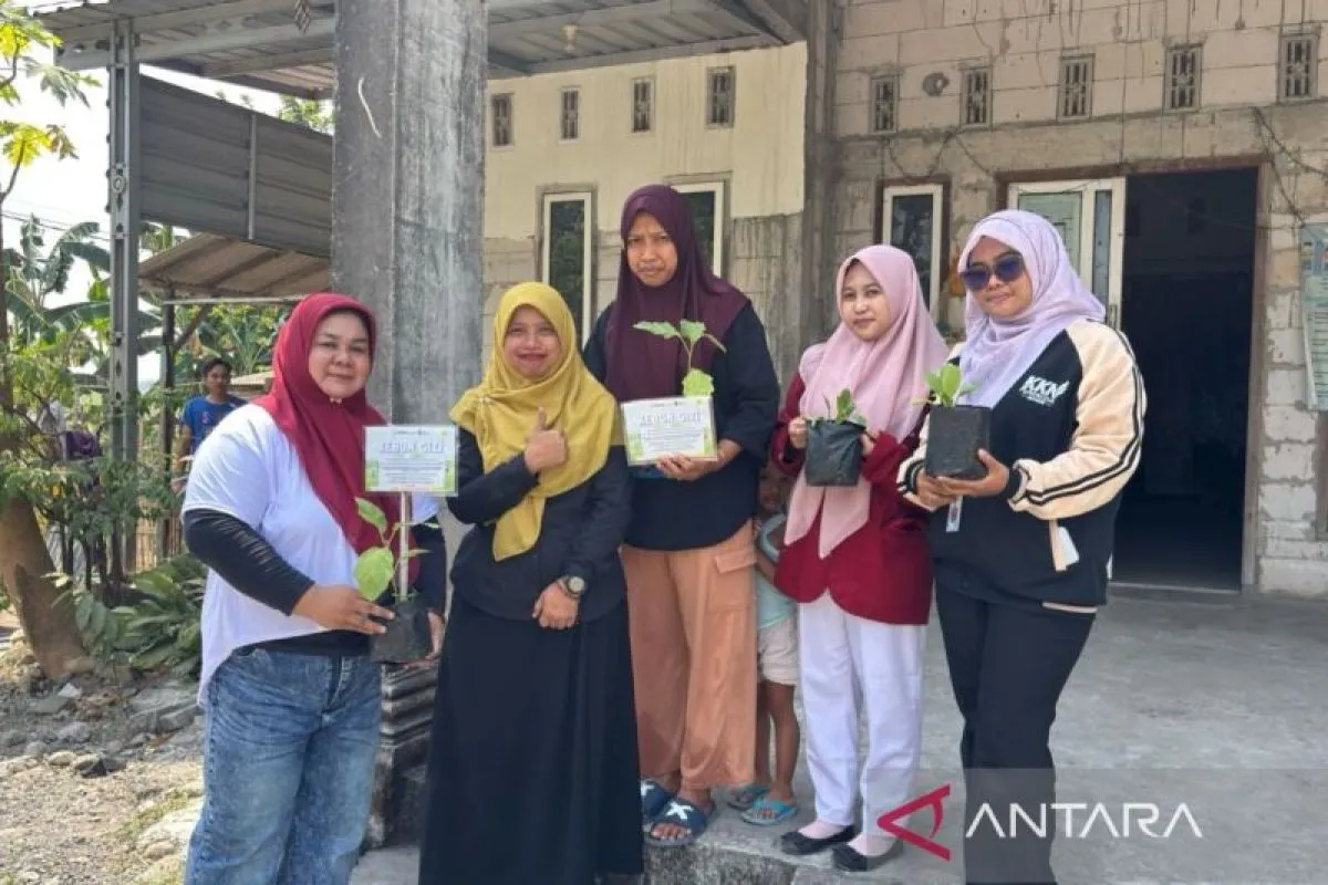 UMLA dan Umsida Kembangkan Kebun Gizi Keluarga untuk Perkuat Ketahanan Pangan dan Cegah Stunting di Lamongan