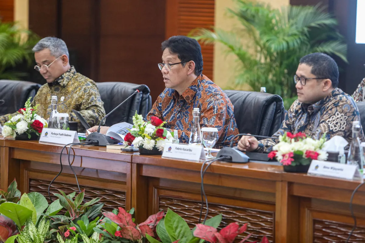 Wamenkeu: Penerimaan Pajak Bruto Naik, Penerimaan Neto Turun karena Restitusi Meningkat