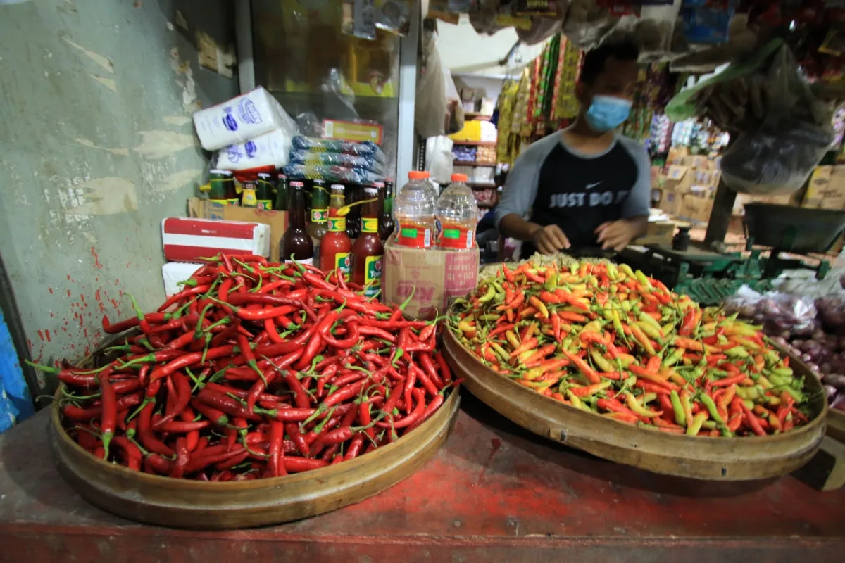 Harga Cabai Rawit di Lamongan Turun, Pedagang Prediksi Bumbu Dapur Naik Akhir Tahun