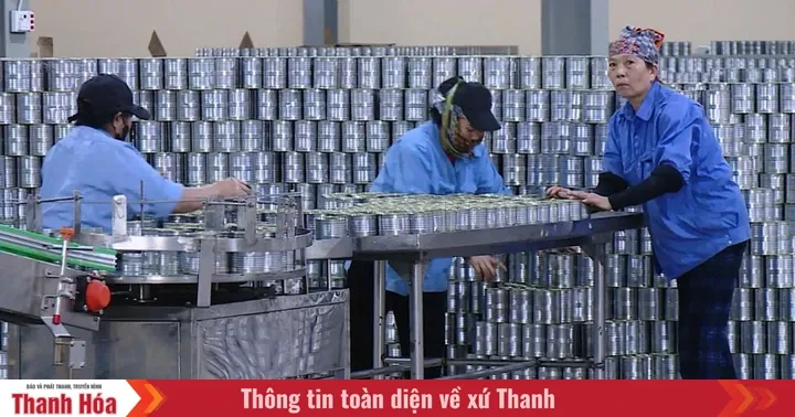 Ekspor Thanh Hoa Tumbuh, Dunia Usaha Waspadai Gejolak Global dan Kenaikan Biaya Logistik