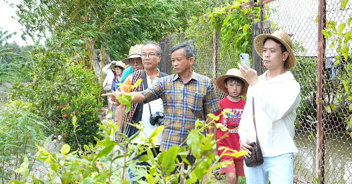 Lap Vo Kembangkan Wisata Pertanian Lewat Beras Ngoc Do Huong Dua dan Kuliner Kacang Air