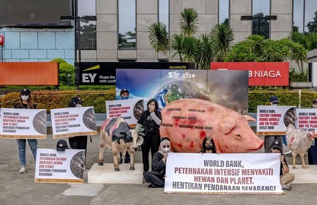 Koalisi Global Desak World Bank Hentikan Pendanaan Peternakan Intensif yang Dinilai Picu Krisis Iklim