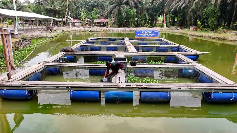 Desa Empang Baru Siak Perkuat Ekonomi Lewat Beragam Usaha, Didukung Program Desa BRILiaN BRI