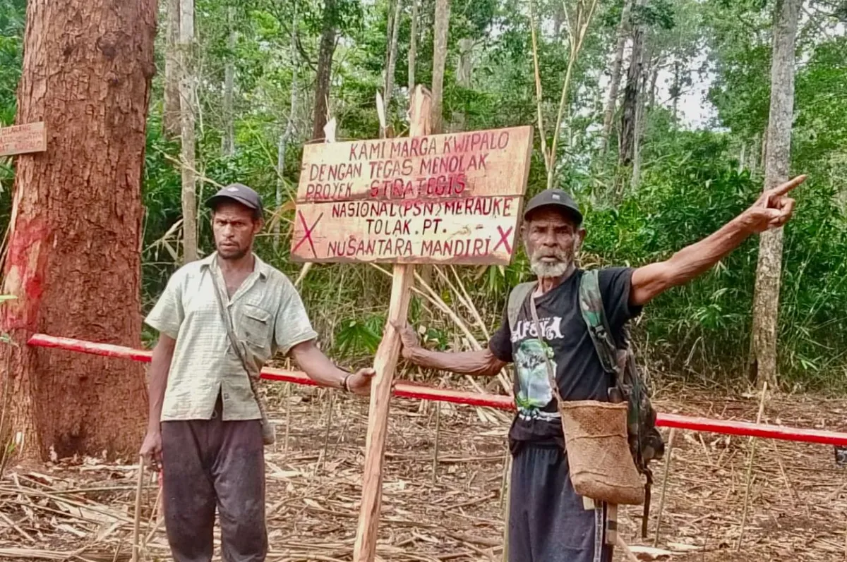 Film “Pesta Babi” Soroti Legitimasi Kebijakan Proyek Pangan PSN di Merauke