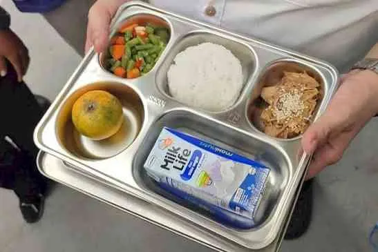 Program Makan Bergizi Gratis Disorot Usai Ribuan Anak Dilaporkan Keracunan, Akuntabilitas dan Pengawasan Dipertanyakan