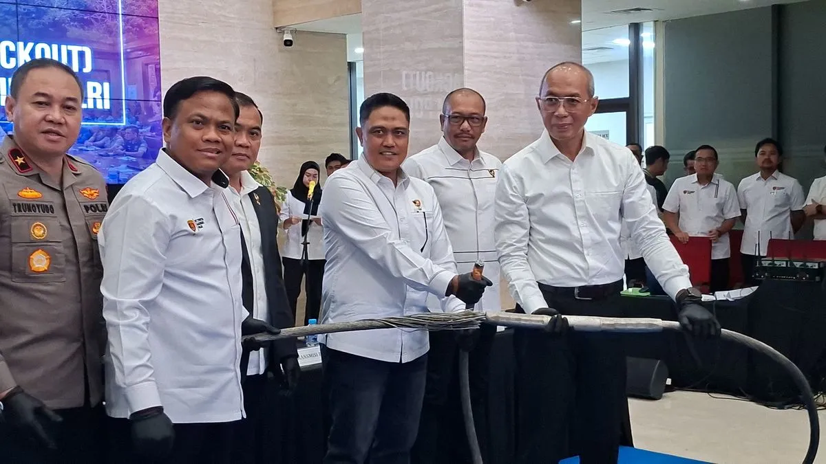 Klaim Natalius Pigai Sebut Putusnya Kabel SUTET sebagai Pelanggaran HAM Disebut Hoaks