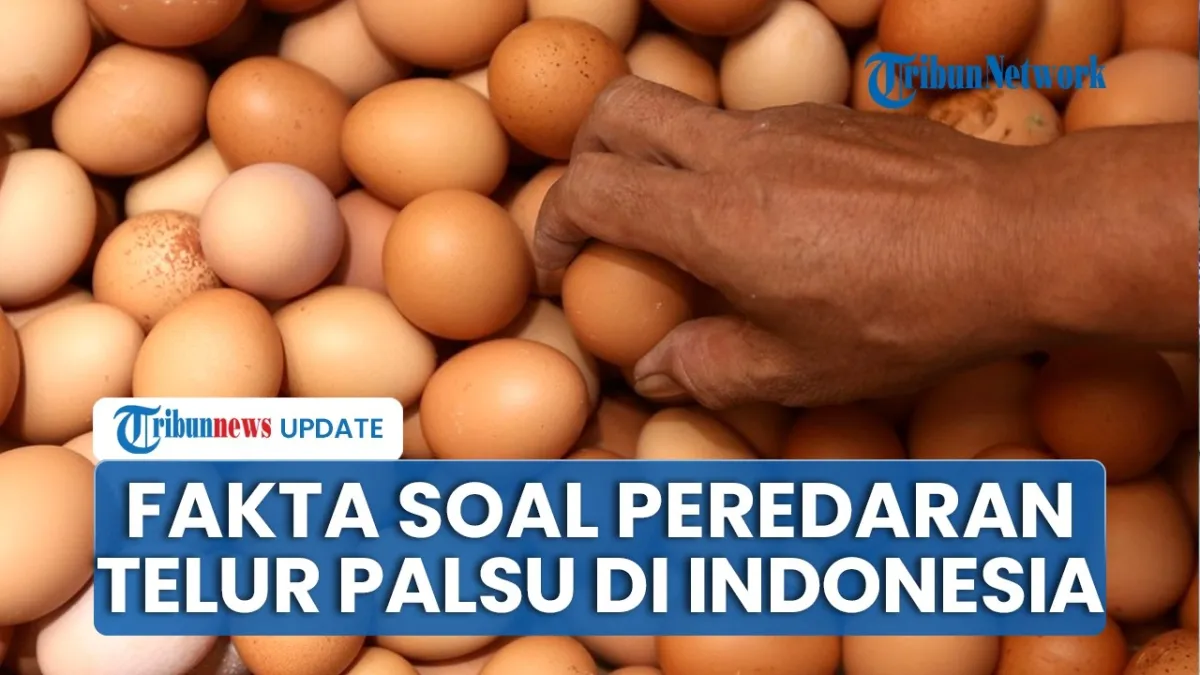 Klaim Video Pembuatan Telur Palsu Beredar di Indonesia Dipastikan Keliru, Ini Penjelasan Ahli BRIN