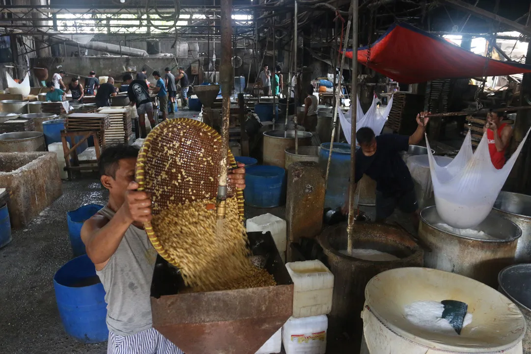 Harga Kedelai Naik di Tengah Dampak Konflik Timur Tengah