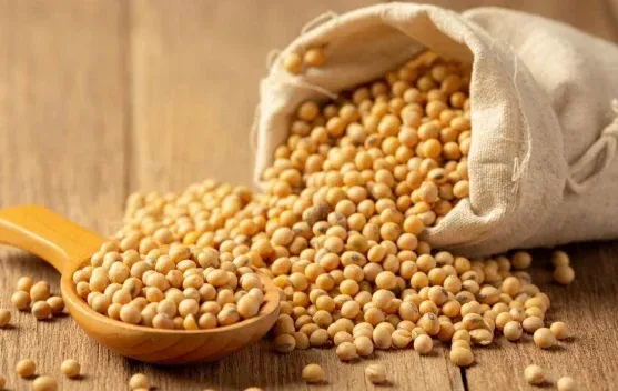 Bapanas Pastikan Stok dan Harga Kedelai Tetap Terkendali di Tengah Ketegangan Global
