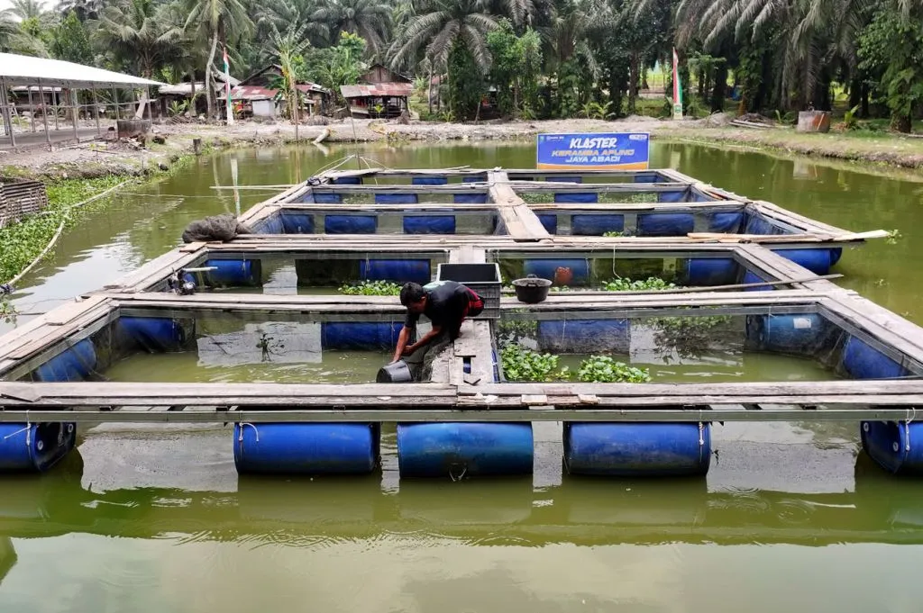 Ekonomi Desa Empang Baru Siak Menguat Lewat Ragam Usaha dan Program Desa BRILiaN