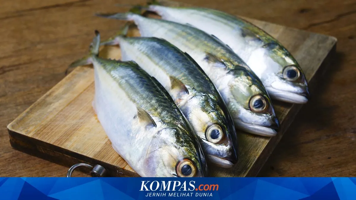 Tujuh Ikan Lokal Terjangkau yang Kaya Gizi untuk Menu Harian