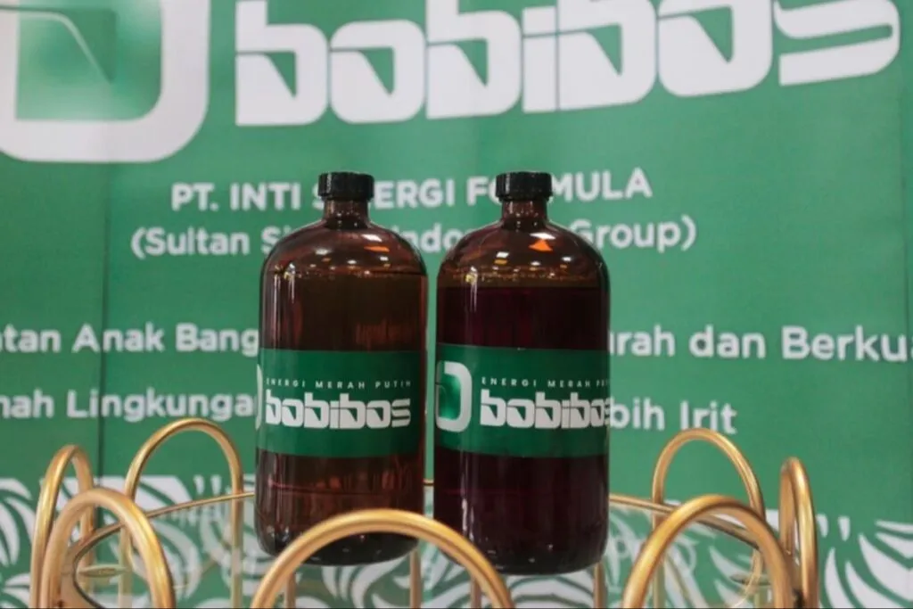 Fenomena Bobibos Muncul di Tengah Ketidakpastian Energi Global