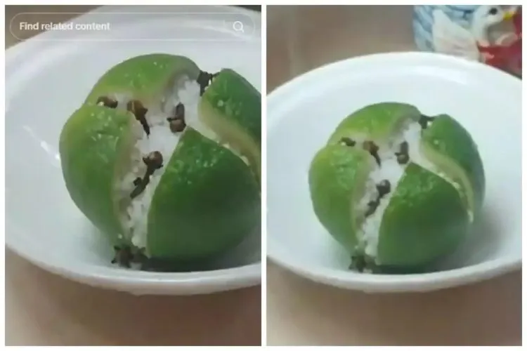 Cara Membuat Obat Nyamuk Alami Tanpa Asap dari Jeruk Nipis, Garam, dan Cengkeh