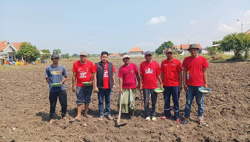 DPC PDI Perjuangan Sampang Dorong Ketahanan Pangan Lewat Penanaman Jagung dan Singkong