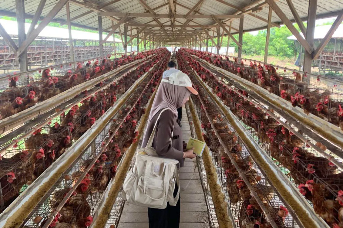 BPKP Kalteng Evaluasi Stabilisasi Harga dan Rantai Pasok Pangan di Kotawaringin Timur