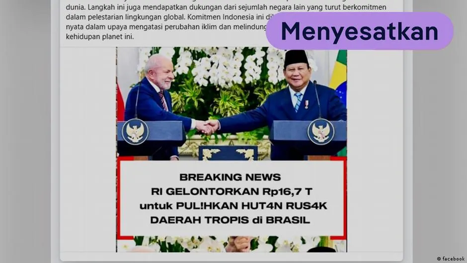 Klaim RI Gelontorkan Rp16,7 Triliun untuk Pulihkan Hutan Brasil Dinilai Menyesatkan