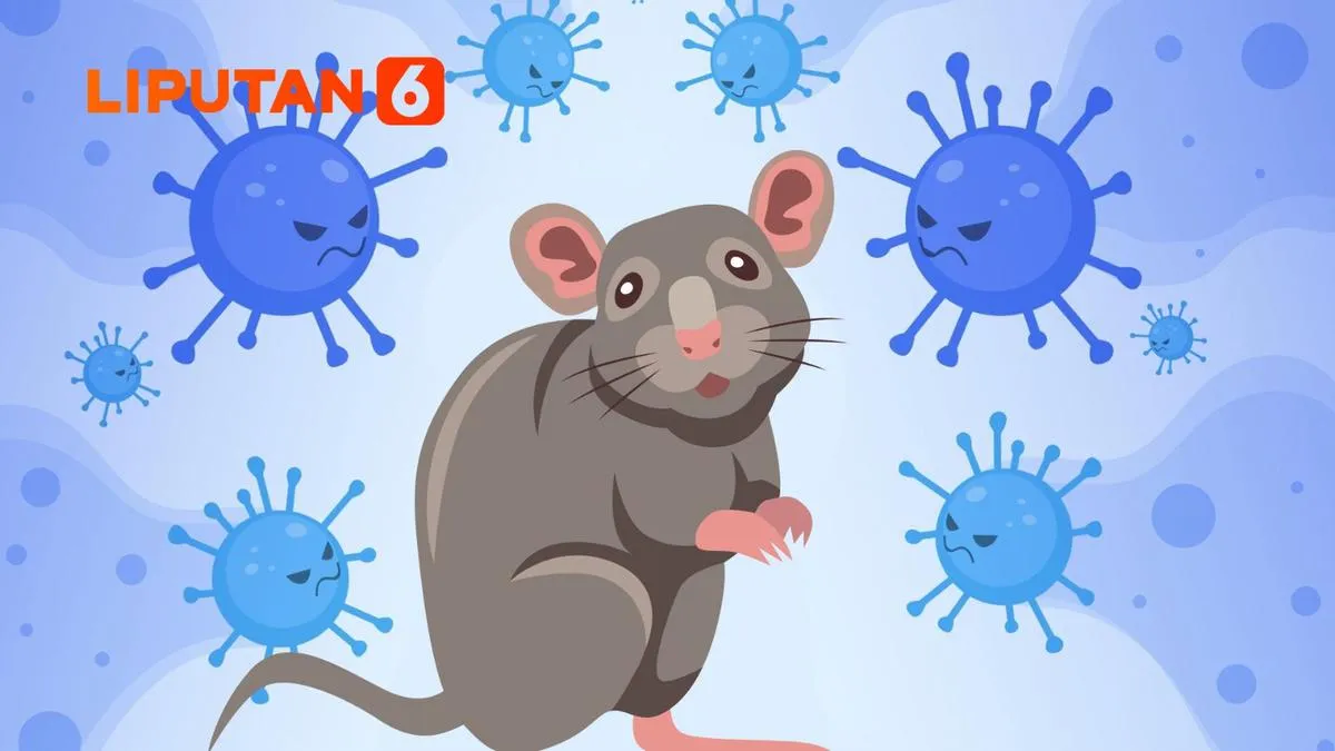 Hoaks Mengiringi Isu Penyebaran Hantavirus, Ini Fakta yang Perlu Diketahui