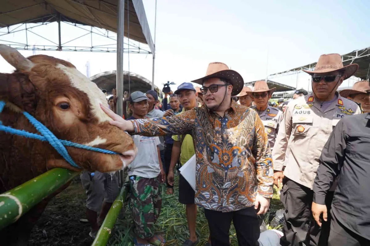 Bupati Kediri Dorong Kontes Sapi Jadi Agenda Tahunan, Targetkan Terbaik di Jawa Timur